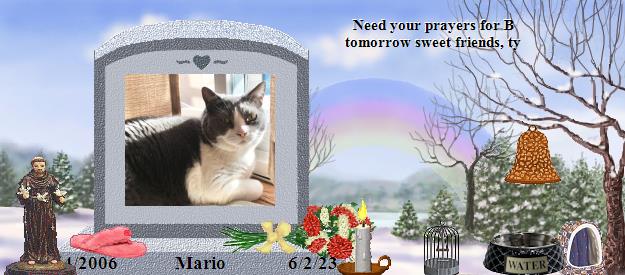 Mario's Rainbow Bridge Pet Loss Memorial Residency Image