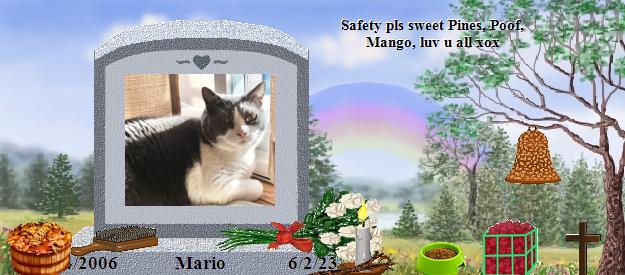 Mario's Rainbow Bridge Pet Loss Memorial Residency Image