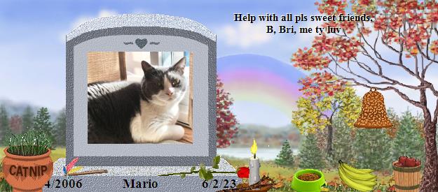Mario's Rainbow Bridge Pet Loss Memorial Residency Image