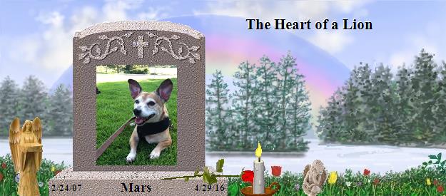 Mars's Rainbow Bridge Pet Loss Memorial Residency Image