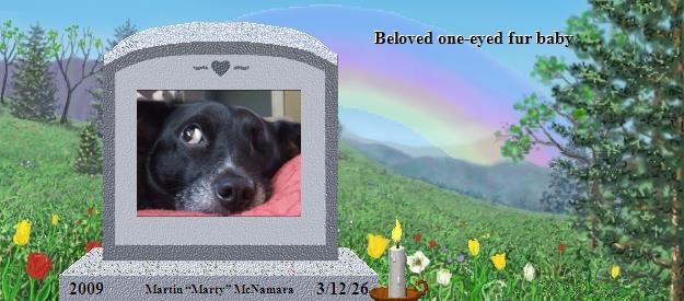 Martin &ldquo;Marty&rdquo; McNamara's Rainbow Bridge Pet Loss Memorial Residency Image