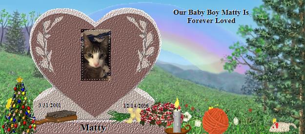 Matty's Rainbow Bridge Pet Loss Memorial Residency Image