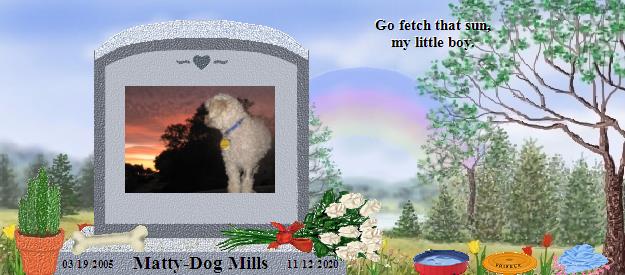 Matty-Dog Mills's Rainbow Bridge Pet Loss Memorial Residency Image