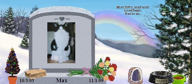 Max's Rainbow Bridge Pet Loss Memorial Residency Image