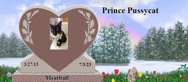 Meatball's Rainbow Bridge Pet Loss Memorial Residency Image