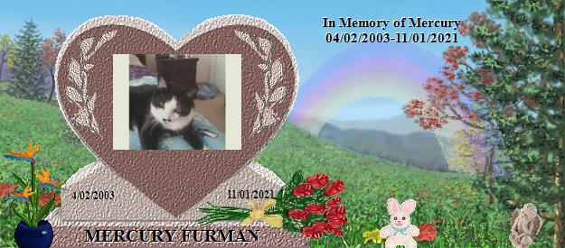 MERCURY FURMAN's Rainbow Bridge Pet Loss Memorial Residency Image
