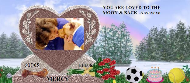 MERCY's Rainbow Bridge Pet Loss Memorial Residency Image