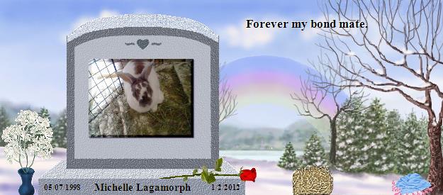 Michelle Lagamorph's Rainbow Bridge Pet Loss Memorial Residency Image
