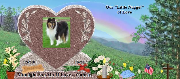 Midnight Son Mo II Love – Gabriel's Rainbow Bridge Pet Loss Memorial Residency Image