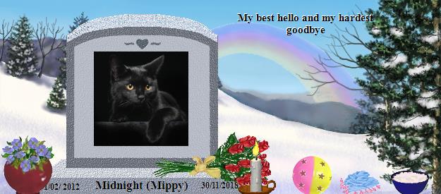 Midnight (Mippy)'s Rainbow Bridge Pet Loss Memorial Residency Image