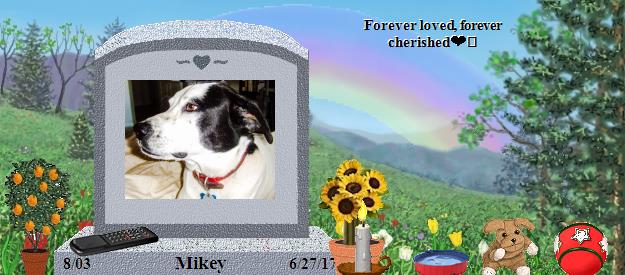 Mikey's Rainbow Bridge Pet Loss Memorial Residency Image