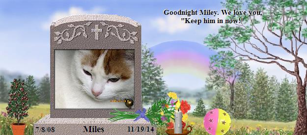 Miles's Rainbow Bridge Pet Loss Memorial Residency Image