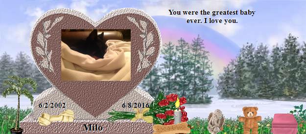 Milo's Rainbow Bridge Pet Loss Memorial Residency Image