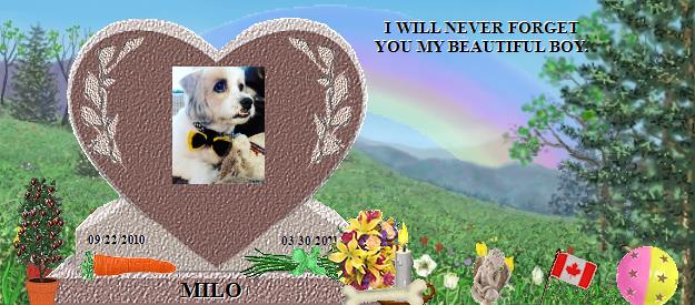 MILO's Rainbow Bridge Pet Loss Memorial Residency Image