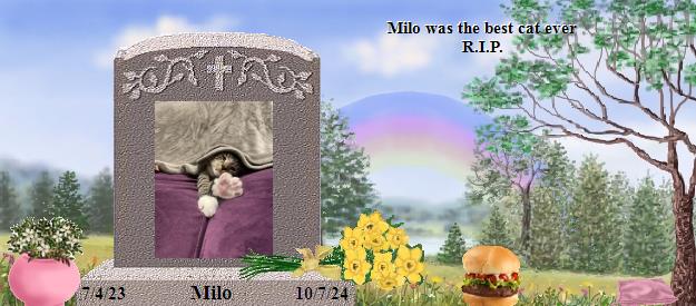Milo's Rainbow Bridge Pet Loss Memorial Residency Image