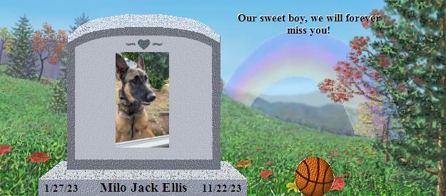 Milo Jack Ellis's Rainbow Bridge Pet Loss Memorial Residency Image