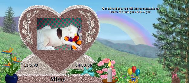 Missy's Rainbow Bridge Pet Loss Memorial Residency Image