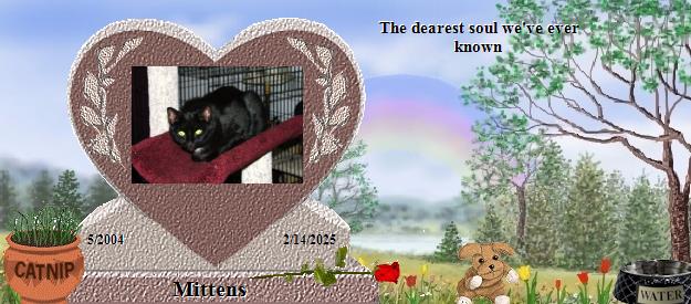 Mittens's Rainbow Bridge Pet Loss Memorial Residency Image