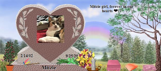 Mitzie's Rainbow Bridge Pet Loss Memorial Residency Image