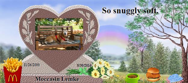 Moccasin Lemke's Rainbow Bridge Pet Loss Memorial Residency Image