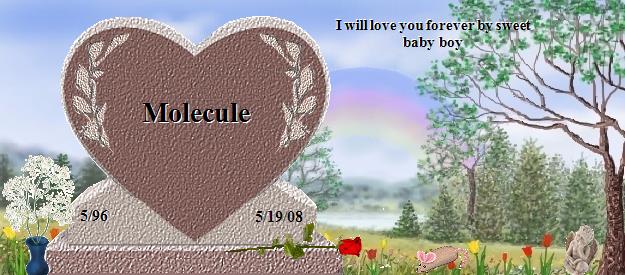 Molecule's Rainbow Bridge Pet Loss Memorial Residency Image