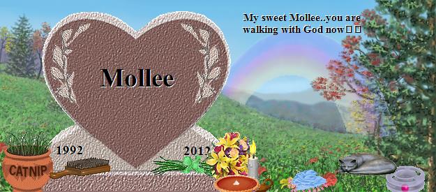 Mollee's Rainbow Bridge Pet Loss Memorial Residency Image