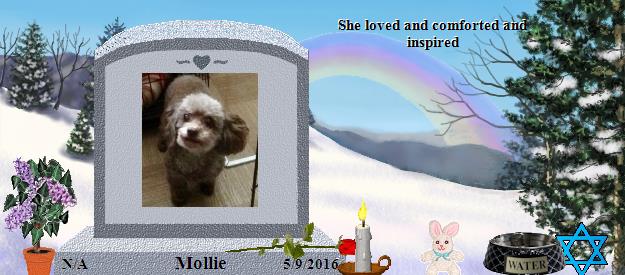 Mollie's Rainbow Bridge Pet Loss Memorial Residency Image