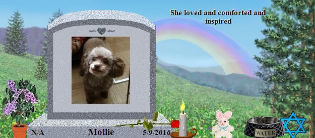 Mollie's Rainbow Bridge Pet Loss Memorial Residency Image