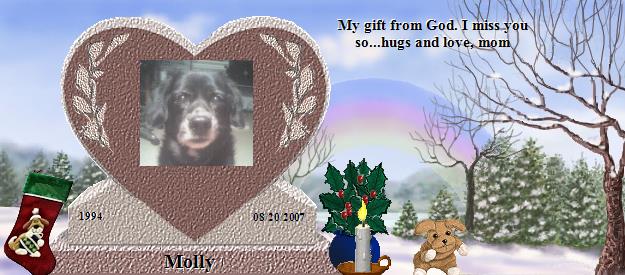 Molly's Rainbow Bridge Pet Loss Memorial Residency Image