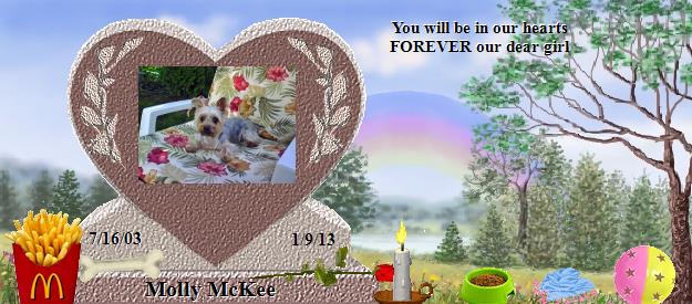 Molly McKee's Rainbow Bridge Pet Loss Memorial Residency Image