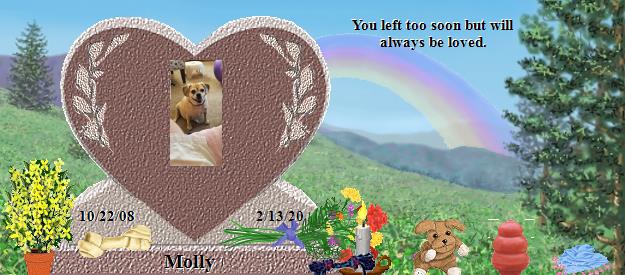 Molly's Rainbow Bridge Pet Loss Memorial Residency Image