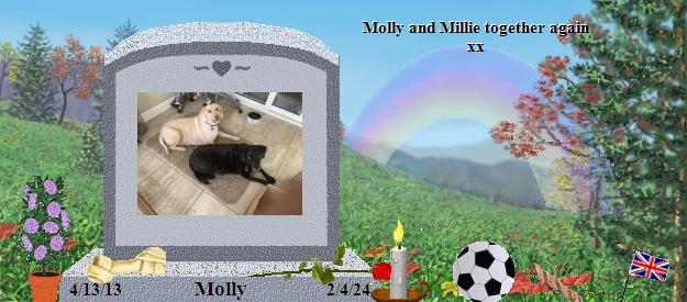 Molly's Rainbow Bridge Pet Loss Memorial Residency Image