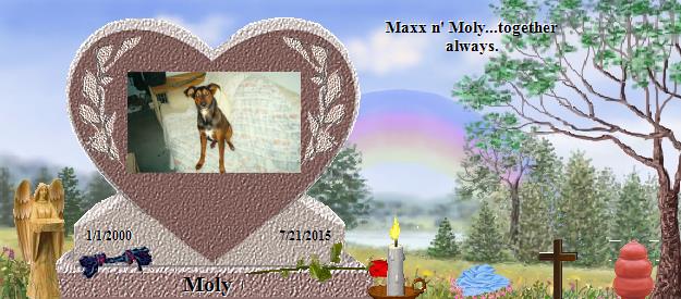 Moly's Rainbow Bridge Pet Loss Memorial Residency Image