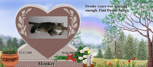 Monkey's Rainbow Bridge Pet Loss Memorial Residency Image