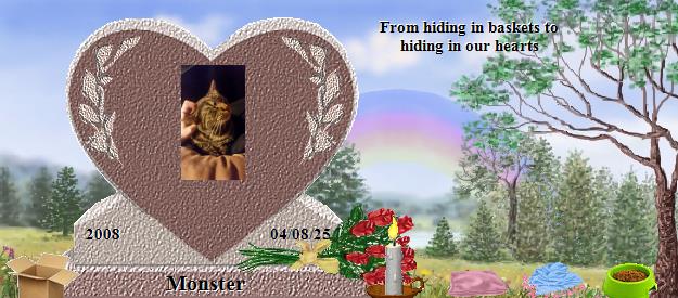 Monster's Rainbow Bridge Pet Loss Memorial Residency Image