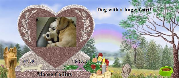 Moose Collins's Rainbow Bridge Pet Loss Memorial Residency Image