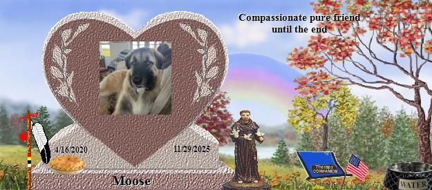 Moose's Rainbow Bridge Pet Loss Memorial Residency Image