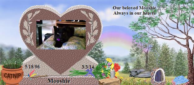 Mooshie's Rainbow Bridge Pet Loss Memorial Residency Image
