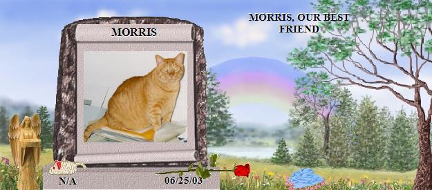 MORRIS's Rainbow Bridge Pet Loss Memorial Residency Image