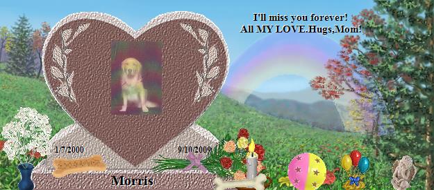 Morris's Rainbow Bridge Pet Loss Memorial Residency Image
