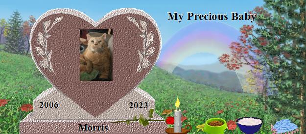 Morris's Rainbow Bridge Pet Loss Memorial Residency Image