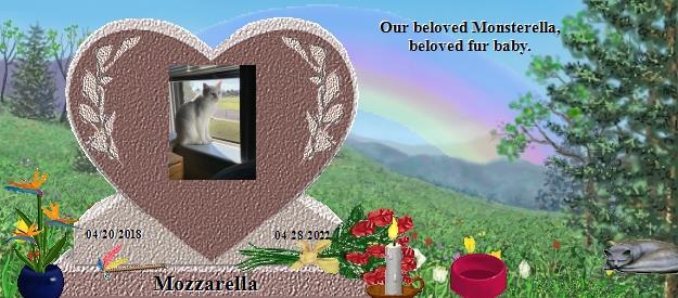 Mozzarella's Rainbow Bridge Pet Loss Memorial Residency Image