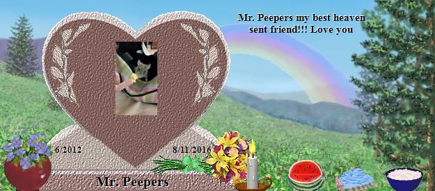 Mr. Peepers's Rainbow Bridge Pet Loss Memorial Residency Image