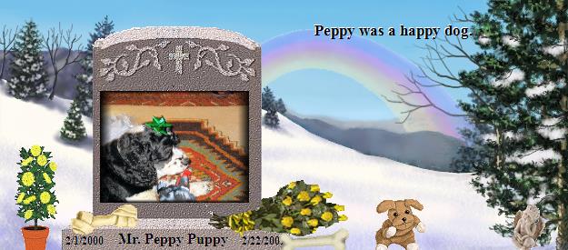 Mr. Peppy Puppy's Rainbow Bridge Pet Loss Memorial Residency Image