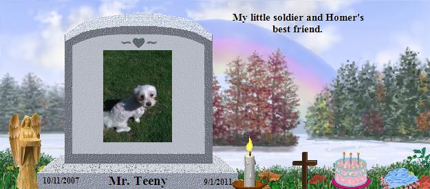 Mr. Teeny's Rainbow Bridge Pet Loss Memorial Residency Image
