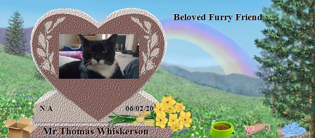 Mr Thomas Whiskerson's Rainbow Bridge Pet Loss Memorial Residency Image