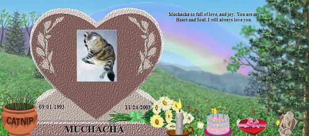 MUCHACHA's Rainbow Bridge Pet Loss Memorial Residency Image