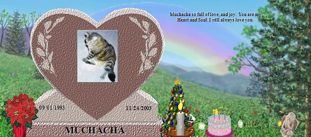 MUCHACHA's Rainbow Bridge Pet Loss Memorial Residency Image