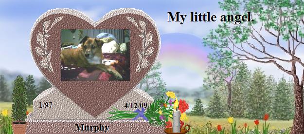 Murphy's Rainbow Bridge Pet Loss Memorial Residency Image