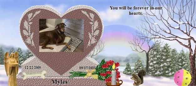 Myles's Rainbow Bridge Pet Loss Memorial Residency Image